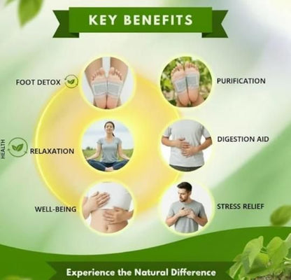 Herbal Giloy Patches (Pack of 2) 20pcs